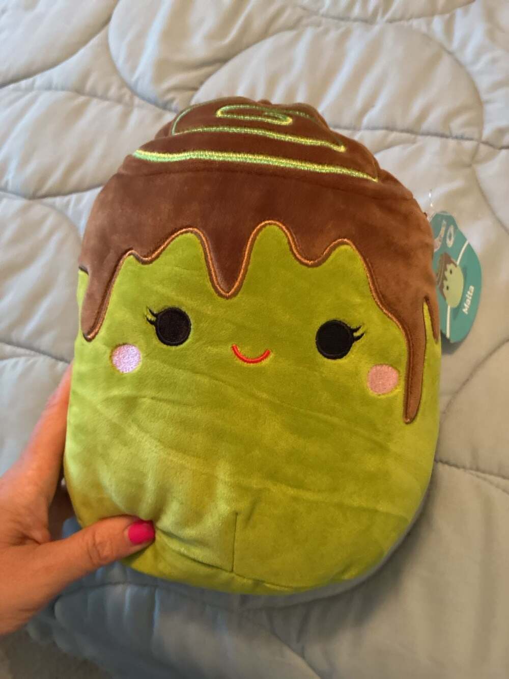 Squishmallows 8" Malta the Matcha Cinnamon Roll Plush A695